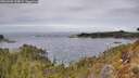 ./images/calvert/foggy-cove/20260404/foggy-cove20260404_125001M.jpg
