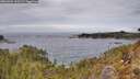 ./images/calvert/foggy-cove/20260404/foggy-cove20260404_125501M.jpg