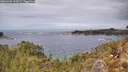 ./images/calvert/foggy-cove/20260404/foggy-cove20260404_132002M.jpg