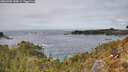./images/calvert/foggy-cove/20260404/foggy-cove20260404_144001M.jpg