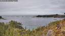 ./images/calvert/foggy-cove/20260404/foggy-cove20260404_151501M.jpg