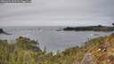 ./images/calvert/foggy-cove/20260404/foggy-cove20260404_153501M.jpg