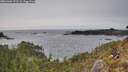 ./images/calvert/foggy-cove/20260404/foggy-cove20260404_171502M.jpg