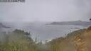 ./images/calvert/foggy-cove/20260406/foggy-cove20260406_084501M.jpg