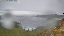 ./images/calvert/foggy-cove/20260406/foggy-cove20260406_091001M.jpg