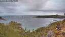 ./images/calvert/foggy-cove/20260407/foggy-cove20260407_071001M.jpg