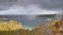 ./images/calvert/foggy-cove/20260407/foggy-cove20260407_084001M.jpg