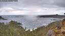 ./images/calvert/foggy-cove/20260407/foggy-cove20260407_085501M.jpg