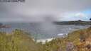 ./images/calvert/foggy-cove/20260407/foggy-cove20260407_110501M.jpg
