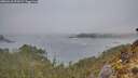 ./images/calvert/foggy-cove/20260410/foggy-cove20260410_073501M.jpg