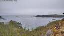 ./images/calvert/foggy-cove/20260410/foggy-cove20260410_075501M.jpg