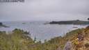 ./images/calvert/foggy-cove/20260410/foggy-cove20260410_080501M.jpg