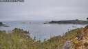 ./images/calvert/foggy-cove/20260410/foggy-cove20260410_081001M.jpg