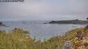 ./images/calvert/foggy-cove/20260410/foggy-cove20260410_081501M.jpg
