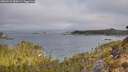 ./images/calvert/foggy-cove/20260410/foggy-cove20260410_084501M.jpg