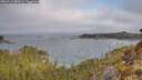 ./images/calvert/foggy-cove/20260410/foggy-cove20260410_085001M.jpg