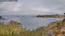 ./images/calvert/foggy-cove/20260410/foggy-cove20260410_085501M.jpg