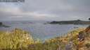 ./images/calvert/foggy-cove/20260410/foggy-cove20260410_090501M.jpg