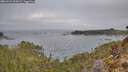 ./images/calvert/foggy-cove/20260410/foggy-cove20260410_092001M.jpg