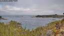 ./images/calvert/foggy-cove/20260410/foggy-cove20260410_100001M.jpg