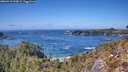 ./images/calvert/foggy-cove/20260410/foggy-cove20260410_143002M.jpg