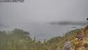 ./images/calvert/foggy-cove/20260411/foggy-cove20260411_100001M.jpg