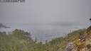 ./images/calvert/foggy-cove/20260411/foggy-cove20260411_101501M.jpg
