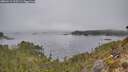 ./images/calvert/foggy-cove/20260411/foggy-cove20260411_102501M.jpg