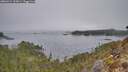 ./images/calvert/foggy-cove/20260411/foggy-cove20260411_103001M.jpg