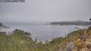 ./images/calvert/foggy-cove/20260411/foggy-cove20260411_104501M.jpg