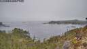 ./images/calvert/foggy-cove/20260411/foggy-cove20260411_105501M.jpg