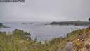 ./images/calvert/foggy-cove/20260411/foggy-cove20260411_110001M.jpg