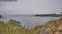 ./images/calvert/foggy-cove/20260411/foggy-cove20260411_110501M.jpg