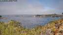 ./images/calvert/foggy-cove/20260411/foggy-cove20260411_114001M.jpg