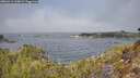 ./images/calvert/foggy-cove/20260411/foggy-cove20260411_115001M.jpg