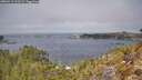 ./images/calvert/foggy-cove/20260411/foggy-cove20260411_121502M.jpg