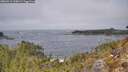 ./images/calvert/foggy-cove/20260411/foggy-cove20260411_125002M.jpg