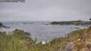 ./images/calvert/foggy-cove/20260411/foggy-cove20260411_132501M.jpg