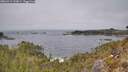 ./images/calvert/foggy-cove/20260411/foggy-cove20260411_133001M.jpg