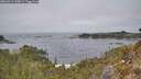 ./images/calvert/foggy-cove/20260411/foggy-cove20260411_135001M.jpg