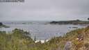 ./images/calvert/foggy-cove/20260411/foggy-cove20260411_135501M.jpg