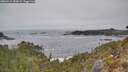 ./images/calvert/foggy-cove/20260411/foggy-cove20260411_151001M.jpg