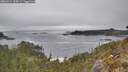 ./images/calvert/foggy-cove/20260411/foggy-cove20260411_164501M.jpg