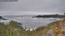 ./images/calvert/foggy-cove/20260411/foggy-cove20260411_165001M.jpg