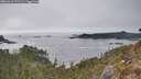 ./images/calvert/foggy-cove/20260411/foggy-cove20260411_171501M.jpg