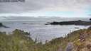 ./images/calvert/foggy-cove/20260412/foggy-cove20260412_080501M.jpg
