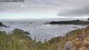 ./images/calvert/foggy-cove/20260412/foggy-cove20260412_083501M.jpg