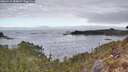 ./images/calvert/foggy-cove/20260412/foggy-cove20260412_084001M.jpg