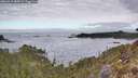 ./images/calvert/foggy-cove/20260412/foggy-cove20260412_085001M.jpg