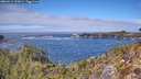 ./images/calvert/foggy-cove/20260412/foggy-cove20260412_133001M.jpg